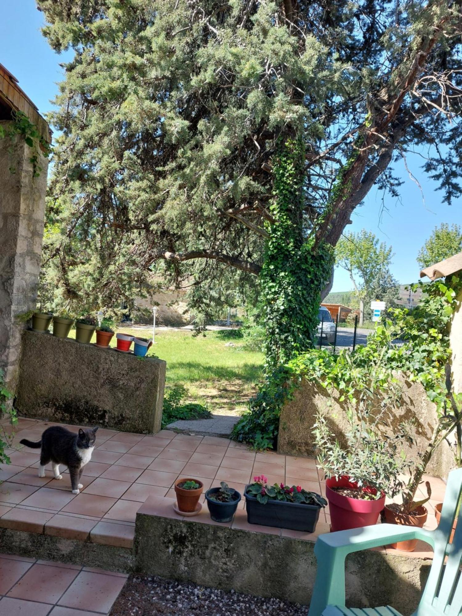 La Maison De Marie-Jeanne - Le Rocher D'Ongles Εξωτερικό φωτογραφία